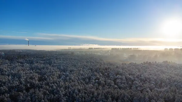 Aerial view on winter forest and city in fog