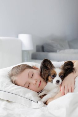 Şirin papillon köpeğiyle yatan küçük kızın portresi.