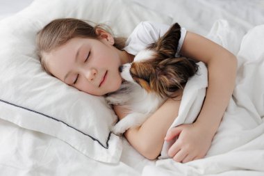 Küçük kız tatlı papillon köpeğiyle yatakta uyuyor.