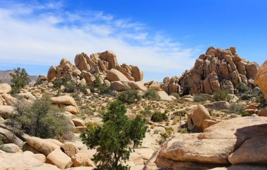 Güneşli bir günde Joshua Tree Ulusal Parkı 'ndaki kayalık tepelerin panoramik manzarası