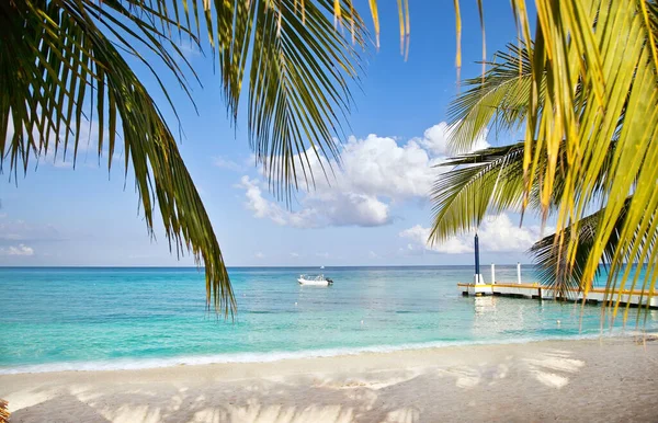 Pantai Tropis Dengan Perahu Pohon Palem Dan Dermaga Pada Hari — Stok Foto
