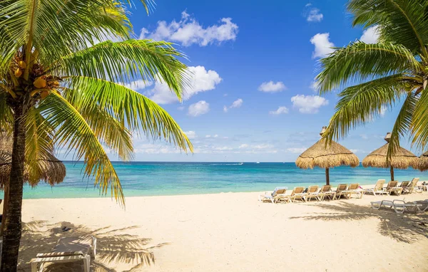 Pantai Tropis Dengan Pohon Palem Dan Perahu Kejauhan Pada Hari — Stok Foto