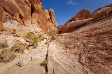 Yangın state park, nevada Vadisi