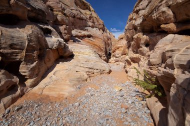 Yangın state park, nevada Vadisi