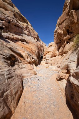 Yangın state park, nevada Vadisi