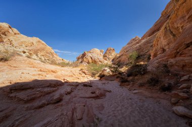 Yangın state park, nevada Vadisi