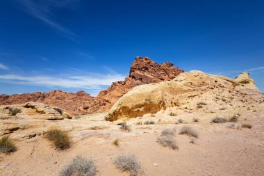 Yangın state park, nevada Vadisi