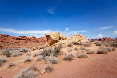 Yangın state park, nevada Vadisi