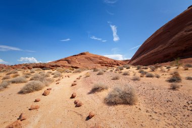 Yangın state park, nevada Vadisi
