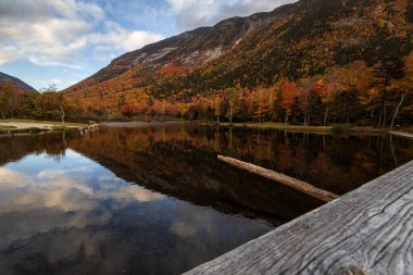 Saco Nehri, Willey Evi, Beyaz Dağlar, New Hampshire