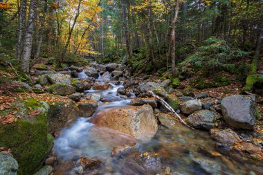 Franconia Ridge Trail, White Mountains, New Hampshire clipart