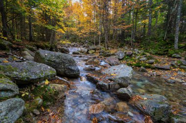 Franconia Ridge Trail, White Mountains, New Hampshire clipart