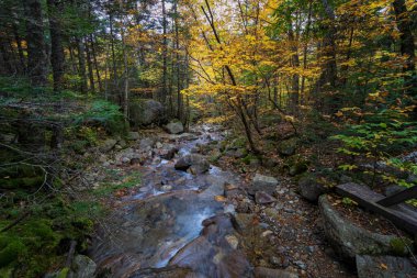 Franconia Ridge Yolu, Beyaz Dağlar, New Hampshire