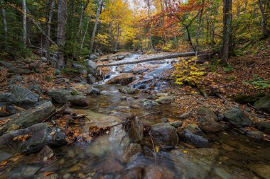 Franconia Ridge Yolu, Beyaz Dağlar, New Hampshire