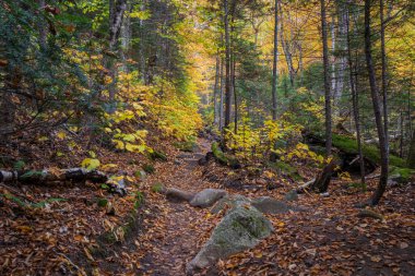 Franconia Ridge Trail, White Mountains, New Hampshire clipart