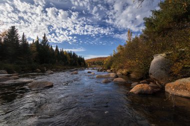 Crawford Notch Eyalet Parkı, New Hampshire