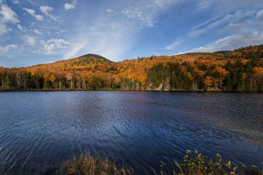 Crawford Notch Eyalet Parkı, New Hampshire