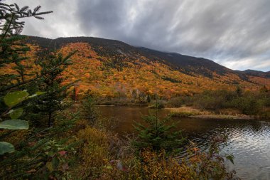 Saco Nehri, Willey Evi, Beyaz Dağlar, New Hampshire