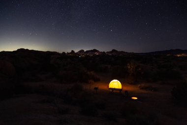 Joshua Tree Ulusal Parkı Gece Saati