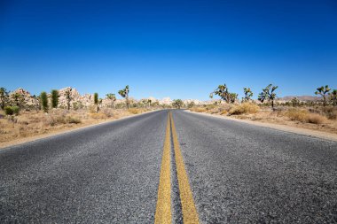 Joshua Tree Ulusal Parkı, Kaliforniya