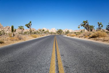 Joshua Tree Ulusal Parkı, Kaliforniya