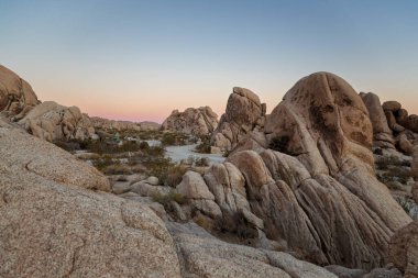 Sunrise Joshua Tree National Park içinde