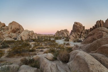 Sunrise Joshua Tree National Park içinde