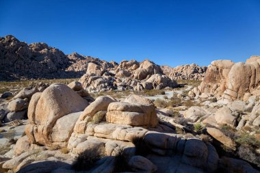 Joshua Tree Ulusal Parkı, Kaliforniya