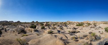 Joshua Tree Ulusal Parkı, Kaliforniya