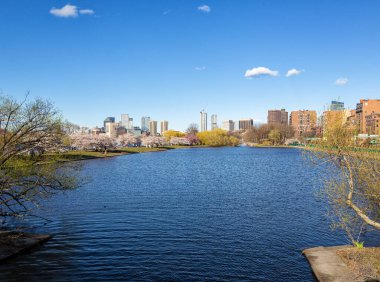 Boston Massachusetts 'te Bir Bahar Öğleden Sonra