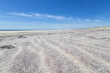 Long Island 'daki plajlar New York