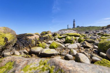 Montauk Deniz Feneri Long Island NY