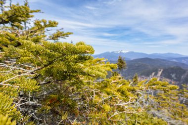 Ak Dağlar Ulusal Ormanı, New Hampshire