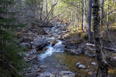 Ak Dağlar Ulusal Ormanı, New Hampshire