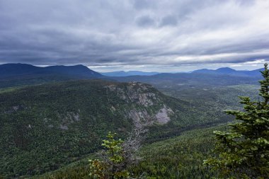 Beyaz Dağlar 'daki Zeeland Dağı Yolu New Hampshire