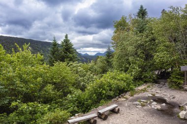 Beyaz Dağlar 'daki Zeeland Dağı Yolu New Hampshire