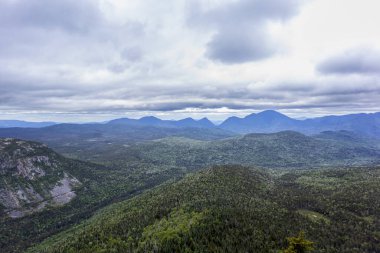 Beyaz Dağlar 'daki Zeeland Dağı Yolu New Hampshire