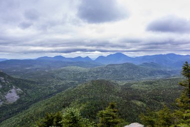 Beyaz Dağlar 'daki Zeeland Dağı Yolu New Hampshire