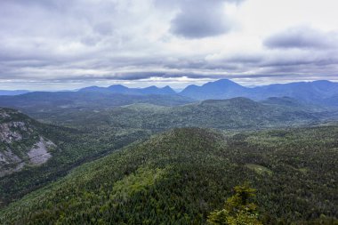 Beyaz Dağlar 'daki Zeeland Dağı Yolu New Hampshire