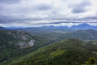 Beyaz Dağlar 'daki Zeeland Dağı Yolu New Hampshire