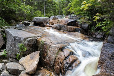 Mount Zeeland Trail in the White Mountains New Hampshire