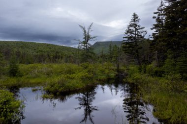 Beyaz Dağlarda Zeeland Dağı Yolu