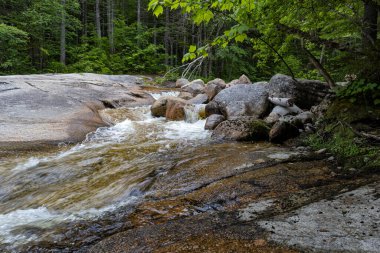 Beyaz Dağlarda Zeeland Dağı Yolu