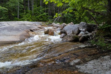 Beyaz Dağlarda Zeeland Dağı Yolu
