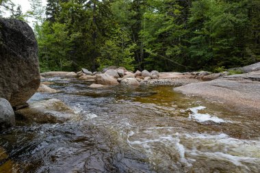 Beyaz Dağlarda Zeeland Dağı Yolu