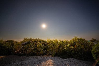 Cape Cod Massachusetts 'teki Nobska Deniz Feneri' nde gün batımı