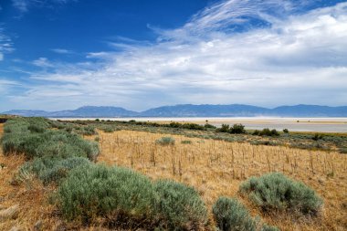 Antilop Adası Eyalet Parkı, Utah