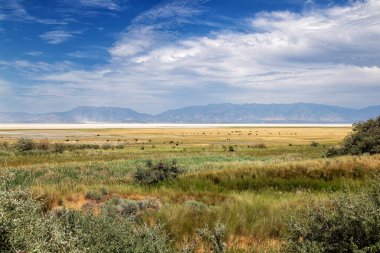 Antilop Adası Eyalet Parkı, Utah