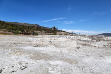 Mamut Sıcak Bahar Yellowstone Ulusal Parkı