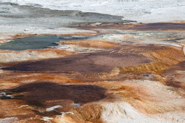 Mamut Sıcak Bahar Yellowstone Ulusal Parkı